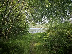 European Water Body Drucke: A dense forest with a path that leads to a river