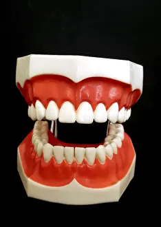 Oral Hygiene Icon Drucke: Denture model