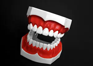 Oral Hygiene Symbol Drucke: Denture model