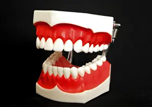Oral Hygiene Symbol Drucke: Denture model