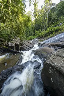 Deserted Jungle Landscape Drucke: Derema Waterfall flows through thick vegetation