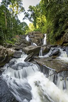 Primeval Forest Scenery Drucke: Derema Waterfall flows through thick vegetation
