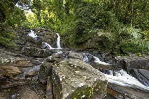 Dense Vegetation Photos Drucke: Derema Waterfall flows through thick vegetation