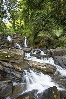 African Wilderness Scene Drucke: Derema Waterfall flows through thick vegetation