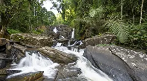 Long Exposure Waterfall Shots Drucke: Derema Waterfall flows through thick vegetation