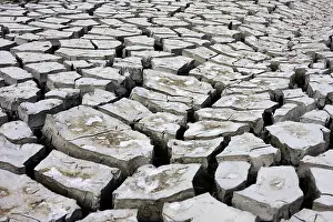 Cracked Earth Drucke: Desert ground