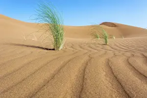 Sahara Desert Morocco Drucke: Desert in morocco