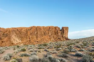 Blue Sky Daytime View Drucke: Desert with sparse Vegetation, Valley of Fire State Park