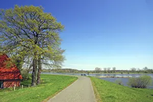 Lower Saxony Scenery Drucke: Deserted cycle path on the dyke