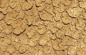 Orange Background Image Drucke: Desiccated mud