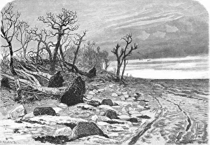 Zerstörte Eiche-Wald nach dem Sturmüberschwang