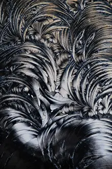 Salicylic Acid Microcrystals Drucke: A detailed of micrograph showcasing the intricate