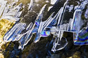 Empty European Landscapes Drucke: Details, shapes and structures of ice