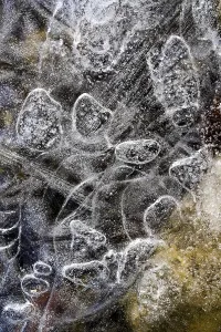 Close Up Ice Structures Drucke: Details, shapes and structures of ice