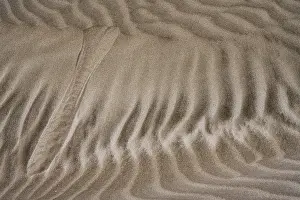 Canary Islands Beach Drucke: Details and structures, Dune landscape