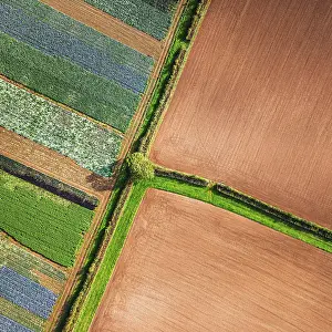 British Countryside Landscape Drucke: DeTop down view over fields from a drone