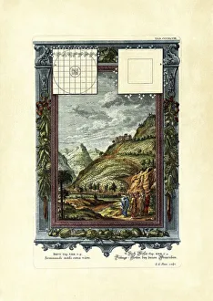 Deuteronomium Kapitel 22, Vers 9, Arten unter den Weinbergen