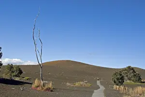 Lava Landscape Drucke: Devastation Trail through lava landscape