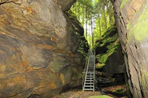 Elbe Sandstone Mountains Drucke: Devil's chamber, in Uttewalder Grund