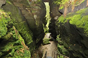 Elbe Sandstone Mountains Drucke: Devil's chamber, in Uttewalder Grund