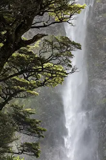 Natural Preserve Waterfall Drucke: Devil's Punchbowl Waterfall