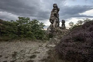 Harz Mountains Rock Formation Drucke: Devil's Wall, heather in front of it