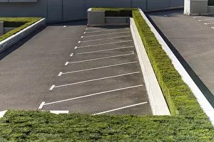 Boxwood Decoration Drucke: Diagonal parking pattern on a parking space