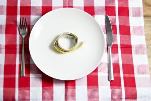 Weight Loss Dinner Ideas Drucke: Diet
