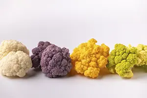 Colorful Cauliflower Drucke: Different colors of cauliflower