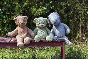 Gotland Island Photography Drucke: Three different coloured stuffed animals