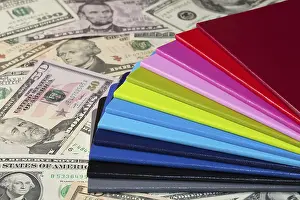 US Dollar Notes Drucke: Twelve different diaries and U.S. dollars