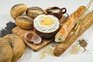Flour Based Baked Goods Drucke: Different kinds of bread on a studio background