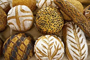 Bread Photography Drucke: Different kinds of breads seen from above