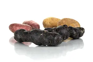 Studio Shot Of Vegetables Drucke: Different kinds of potatoes