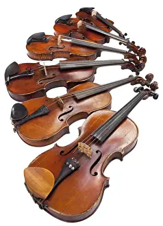 Music Instrument Detail View Drucke: Different sized violins isolated on white background close up