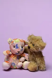 Two different teddy bears, leaning towards each other