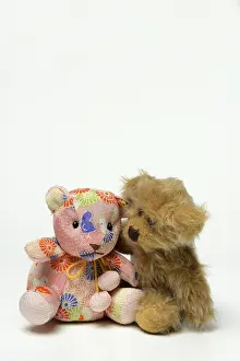Two different teddy bears, leaning towards each other