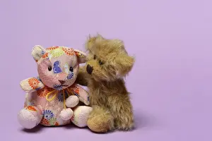 Two different teddy bears, leaning towards each other