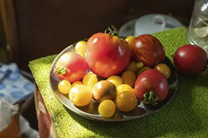 Natural Light Photography Drucke: Different tomatoes ceramic plate on the kitchen table