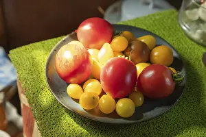Natural Light Photography Drucke: Different tomatoes ceramic plate on the kitchen table