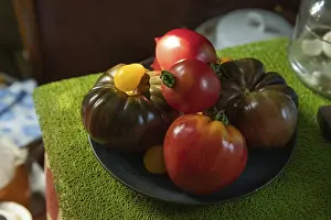 Close Up Tomatoes Drucke: Different tomatoes ceramic plate on the kitchen table