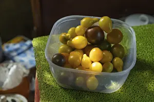 Natural Light Photography Drucke: Different tomatoes in plastic container on the kitchen table