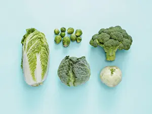 Brussels Sprouts Nutrition Drucke: Different types of cabbage - broccoli