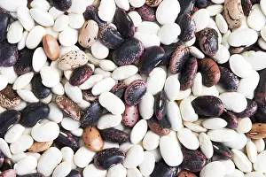 Dried Beans Drucke: Different types of dried beans
