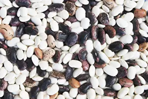 Dried Beans Drucke: Different types of dried beans