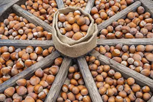 German Federal Republic Nuts Drucke: Different types of hazelnuts in an old wagon wheel