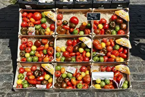 Colorful Vegetable Selection Drucke: Different types of old tomatoes in boxes
