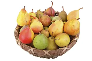 Fruit Still Life Photography Drucke: Different varieties of pears in a wicker basket