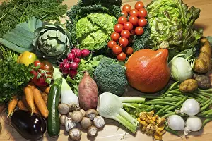Diverse Vegetable Selection Drucke: Many different vegetables, Germany