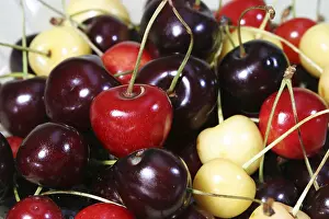Wild Cherry Fruit Drucke: Diffrent cherry sorts in a bowl